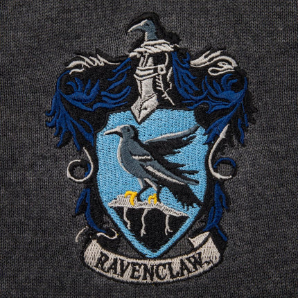 Ravenclaw Harry Potter Pull