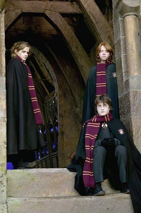 Gryffindor Harry Potter Écharpe 190 cm