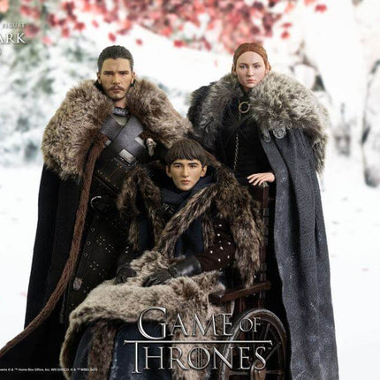 Sansa Stark (Season 8) Game of Thrones Action Figure 1/6 29 cm