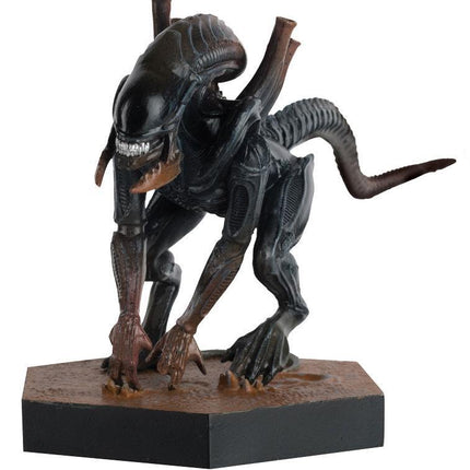 Tusk Xenomorph  Eaglemoss Statuetta Resina 9 cm Alien and Predator (3948430721121)